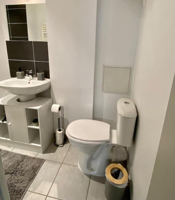 Vaste Appartement Renove - Centre Ville Bourg-en-Bresse Ngoại thất bức ảnh
